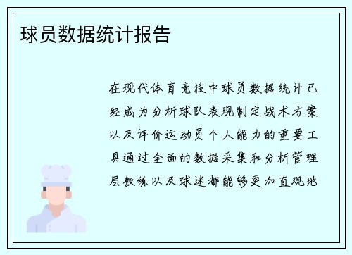 球员数据统计报告